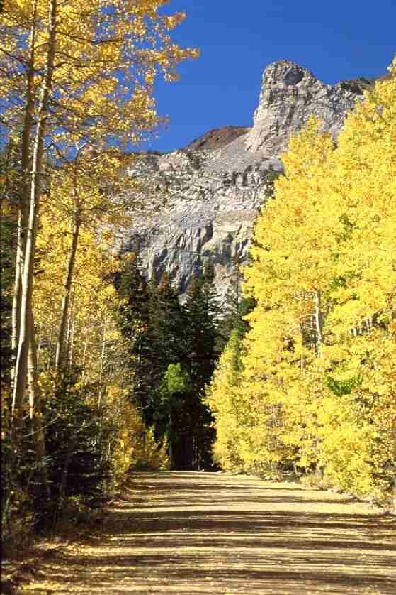 Inyo National Forest, California